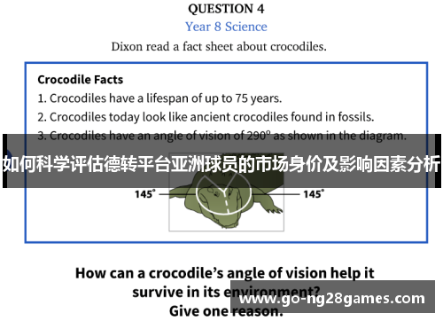 如何科学评估德转平台亚洲球员的市场身价及影响因素分析